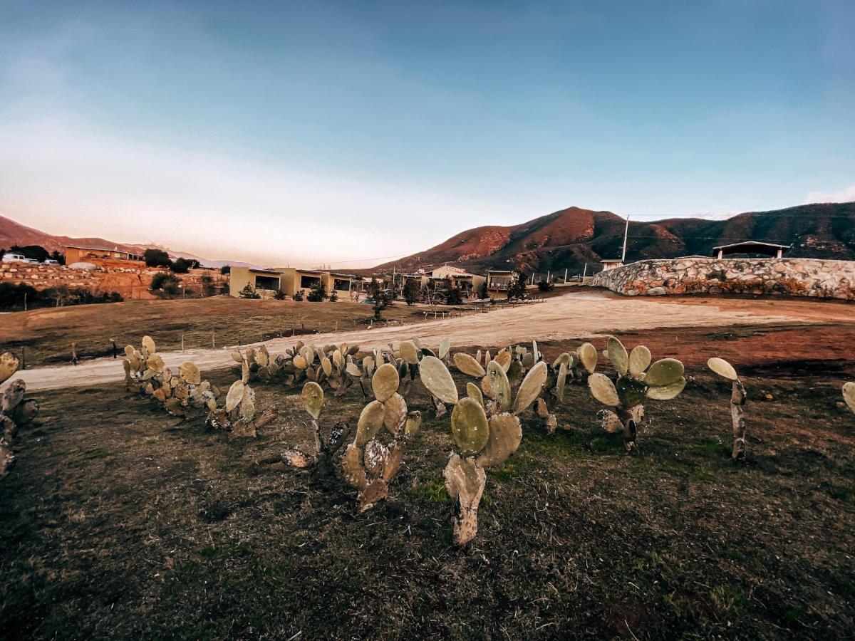 Palta 60 Valle De Guadalupe Konuk evi Dış mekan fotoğraf