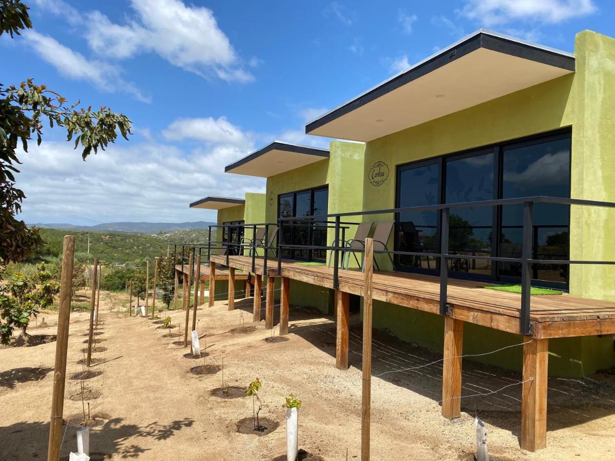 Palta 60 Valle De Guadalupe Konuk evi Dış mekan fotoğraf