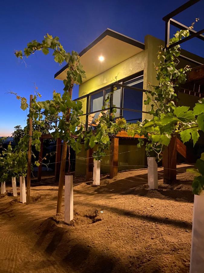 Palta 60 Valle De Guadalupe Konuk evi Dış mekan fotoğraf